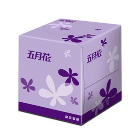 【五月花 】盒裝面紙-直立式(96抽x60盒)