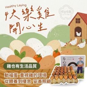 【團購商品】奉心動福蛋（人道飼養）(B:平飼生產) 6盒入共180顆